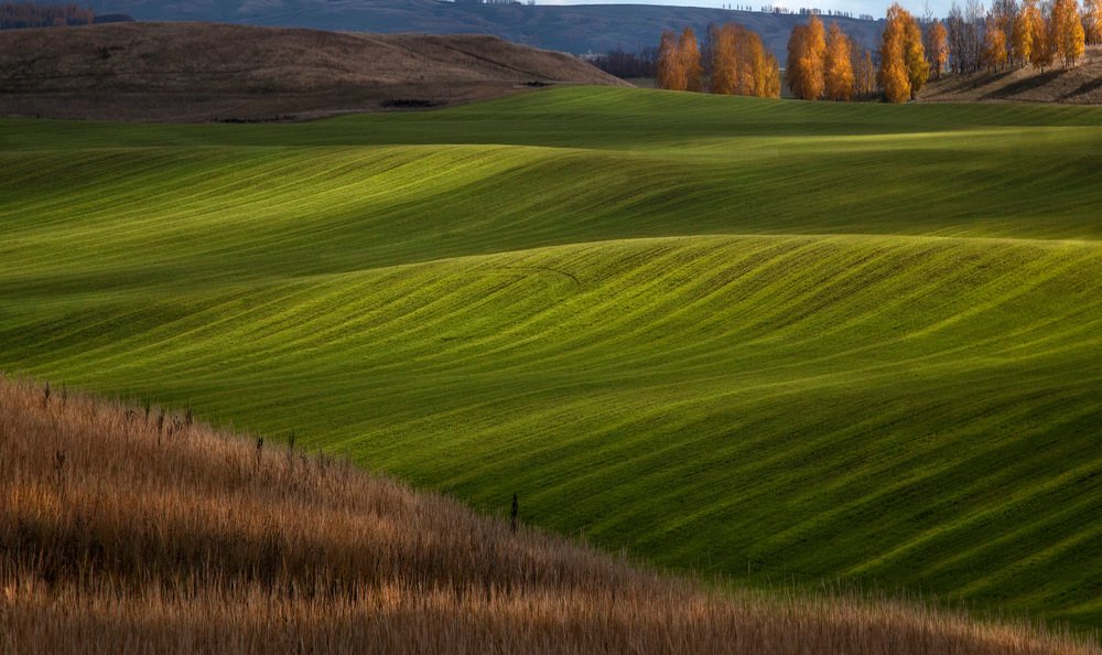 Photograph by Тамара Андреева