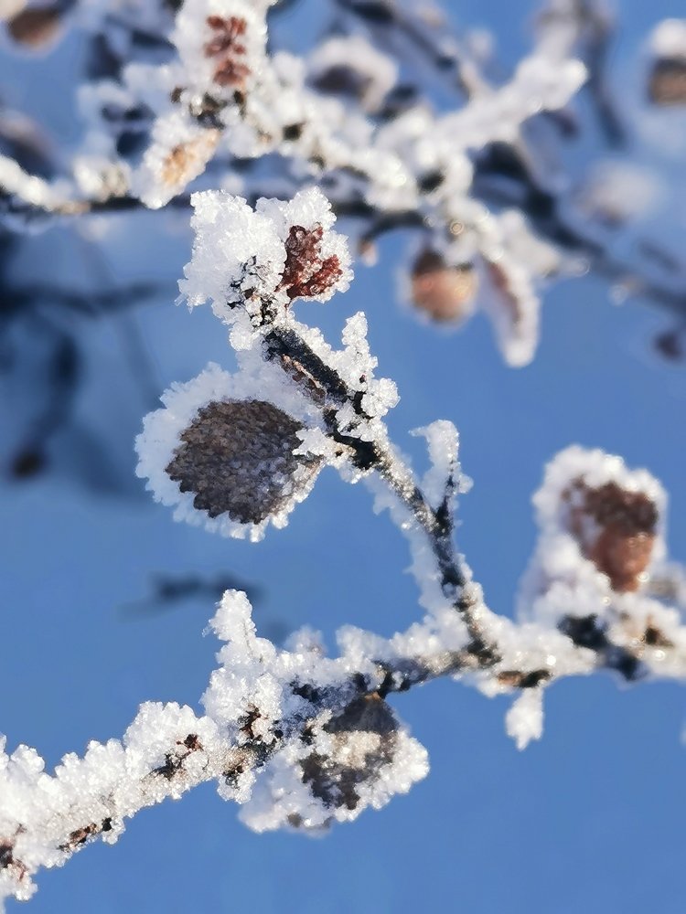 Photograph by Юлия Арестова