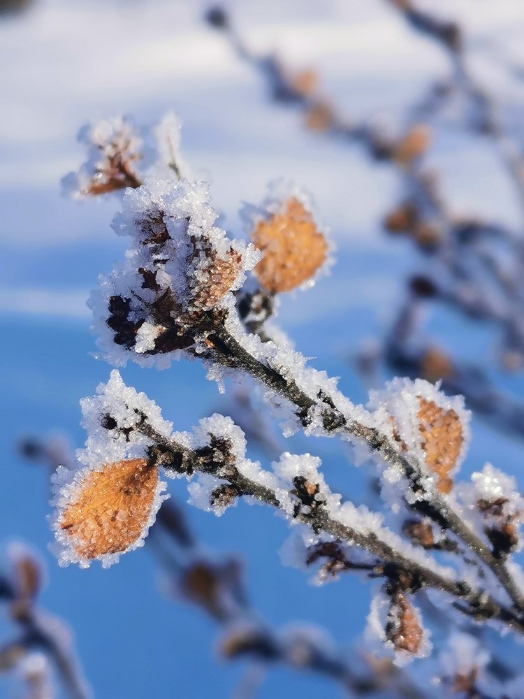 Прощание с осенью.
