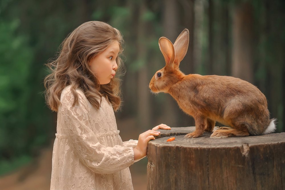 Фотография автора Елена Петрова