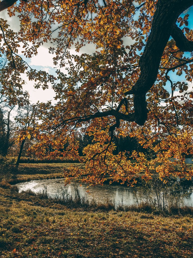 Золото Гатчины