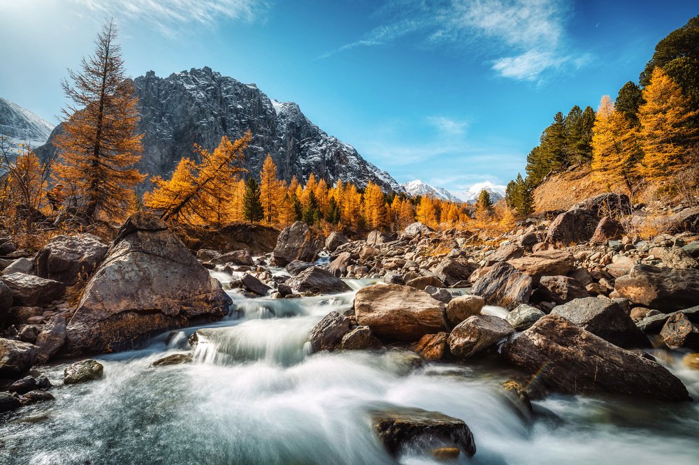 Photograph by Дмитрий Емельяненко