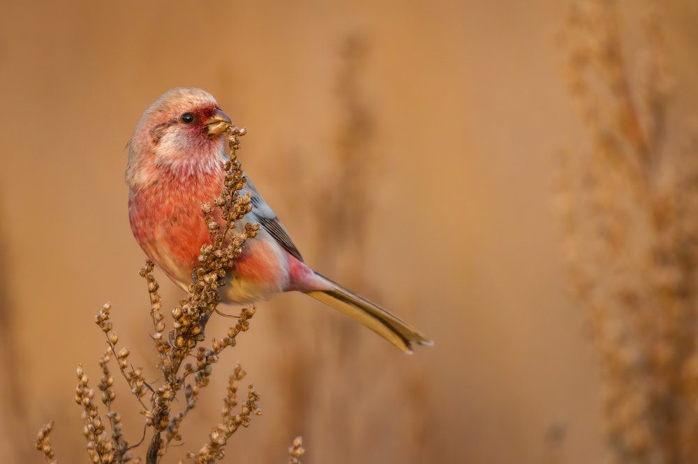 Photograph by Артем