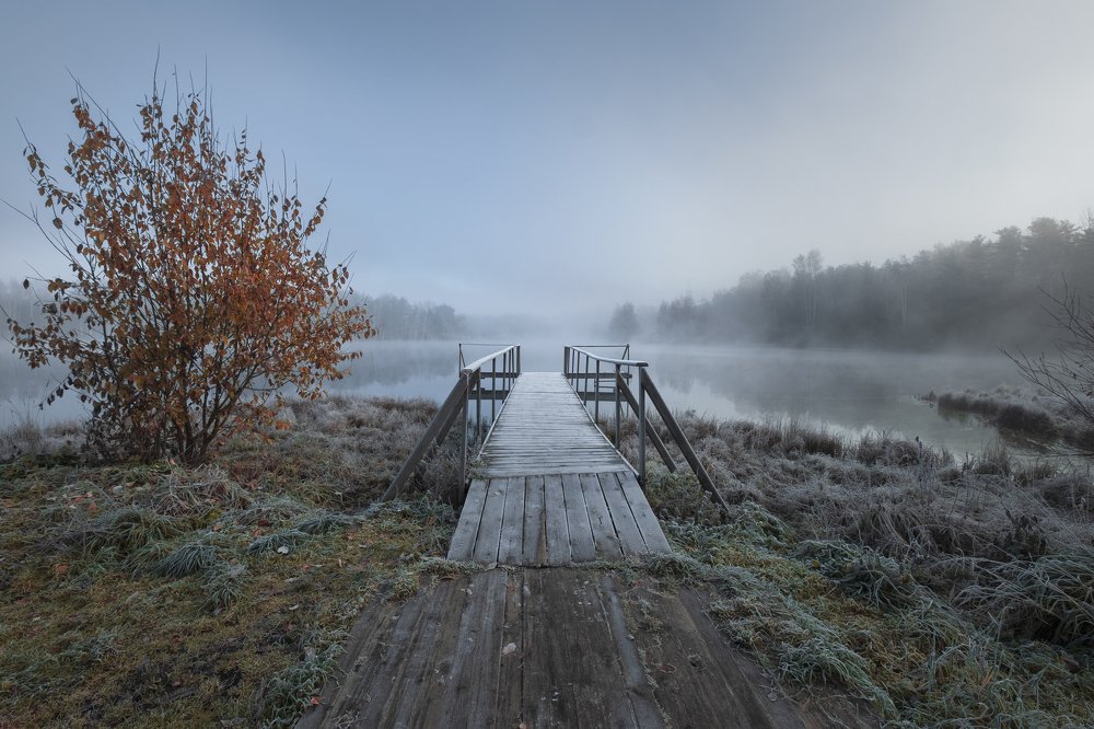 Photograph by Светлана Краюшкина