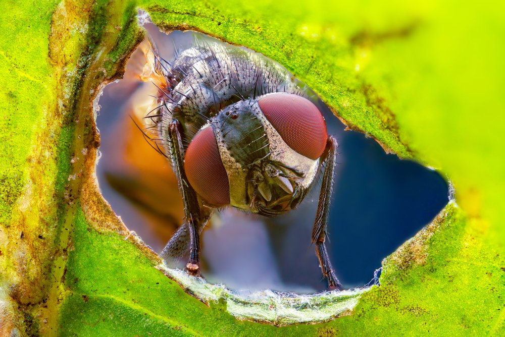 Photograph by Иван Радьков