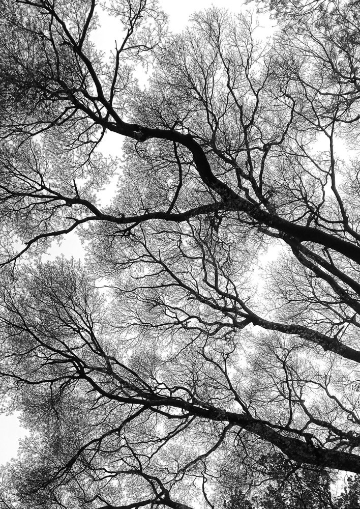 Photograph by Asamanj Maiti