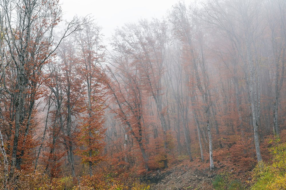 Фотография автора Valery