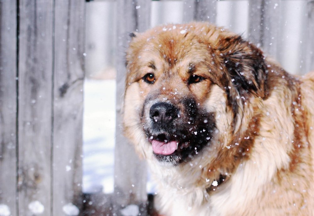 Photograph by Галина Челядинова