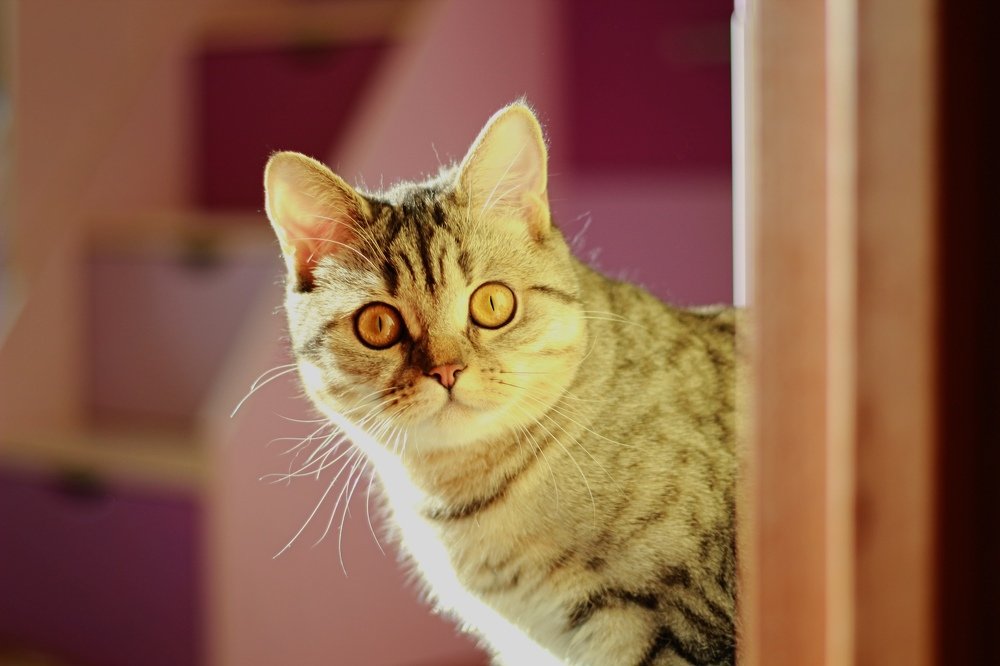 Photograph by Галина Челядинова