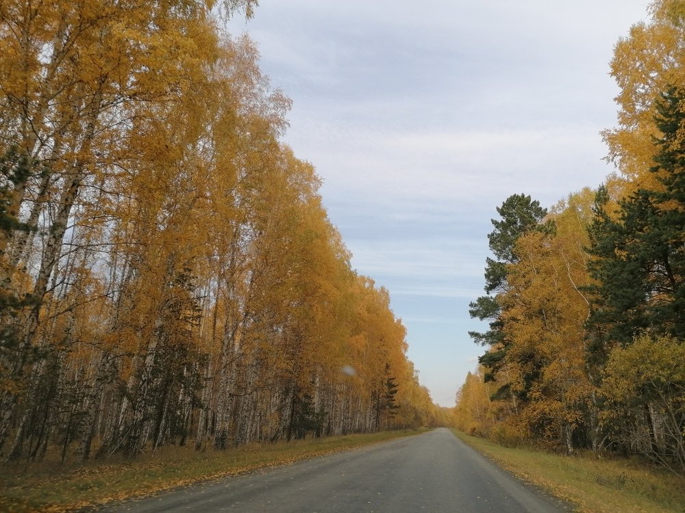 Photograph by Галина Челядинова