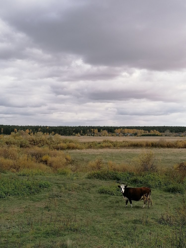 Photograph by Галина Челядинова