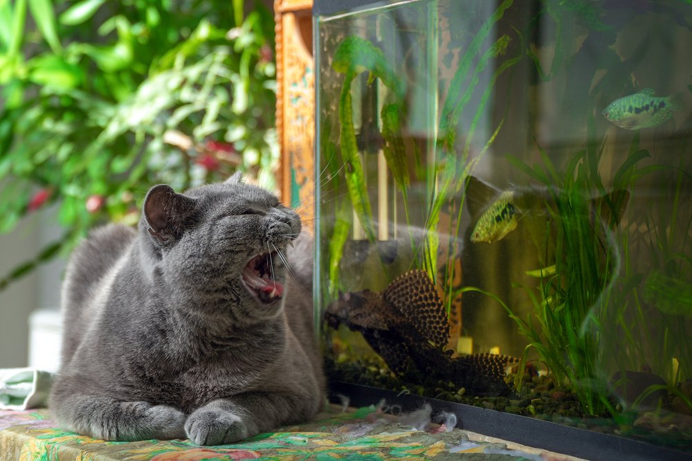 Фотография автора Valery