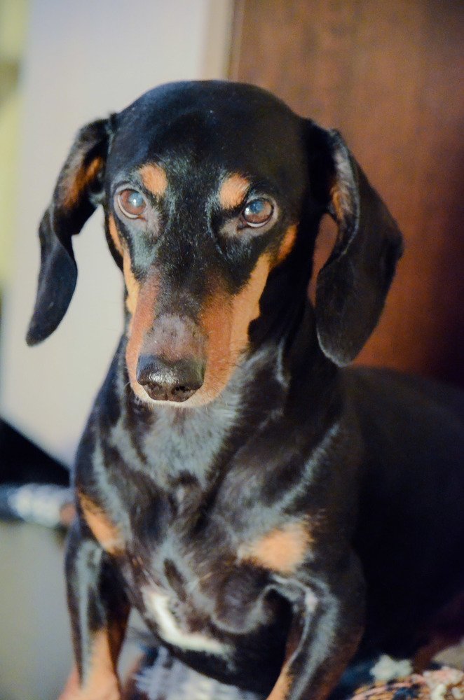 Photograph by Наталья Скиданова