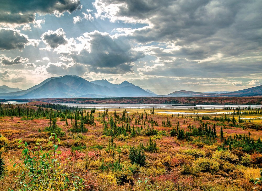 Photograph by Brijesh Kumar Tiwari