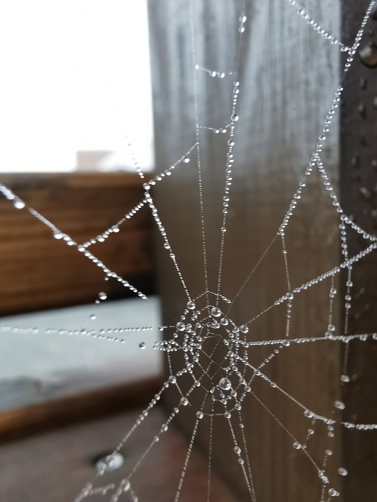 Фотография автора Anna NovaLova