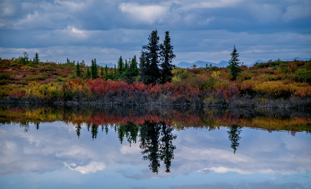 Photograph by Brijesh Kumar Tiwari