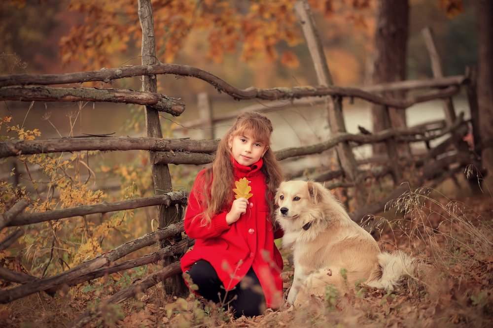 Наши меньшие друзья