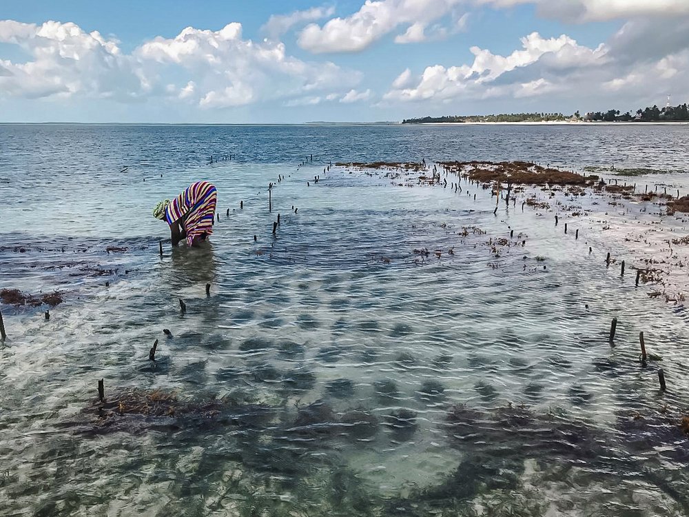 Photograph by Эльвира Курочкина