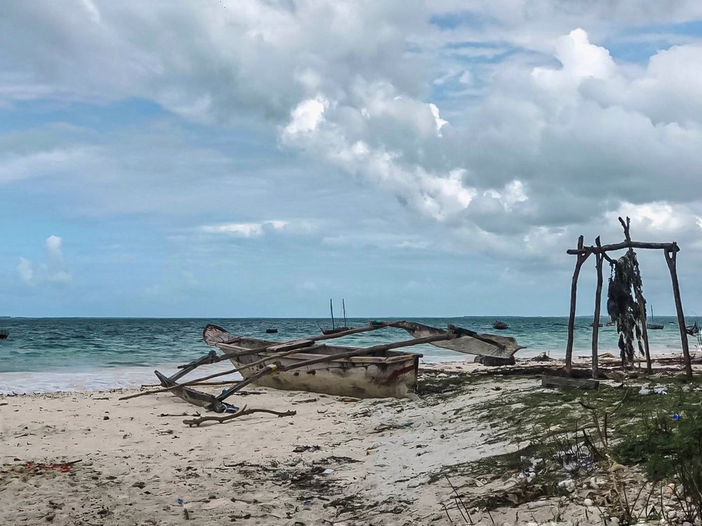 Photograph by Эльвира Курочкина