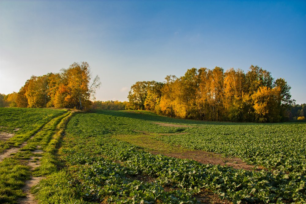 Photograph by Александр Архипов