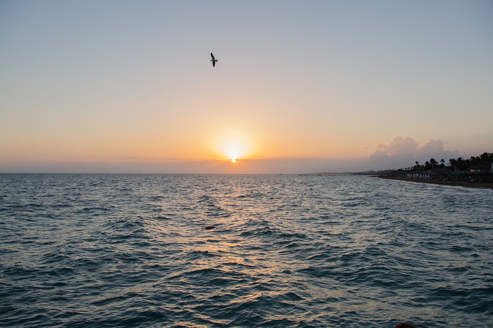 Photograph by Горшечников Сергей