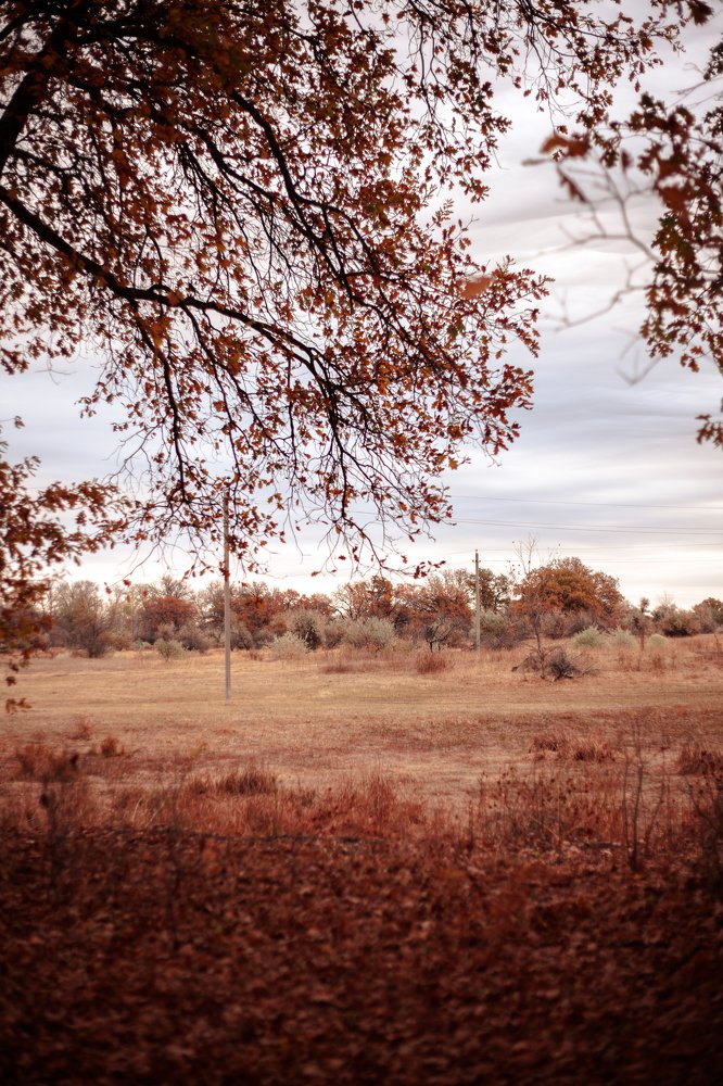 Photograph by Nina Zaytseva