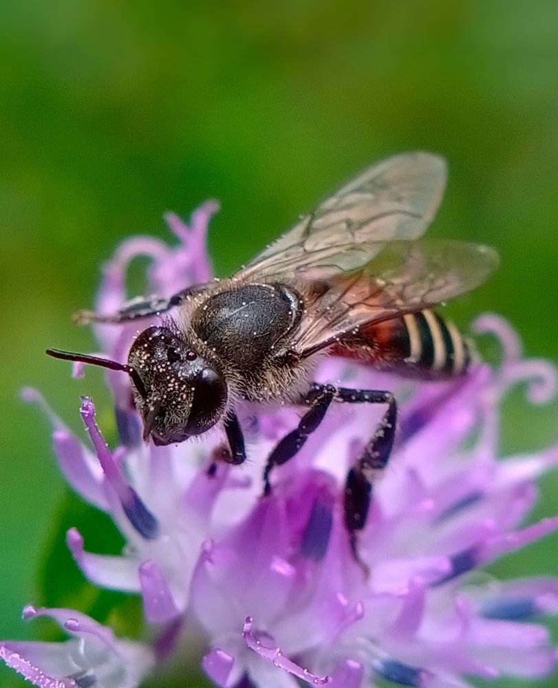 Photograph by JABIN JACOB