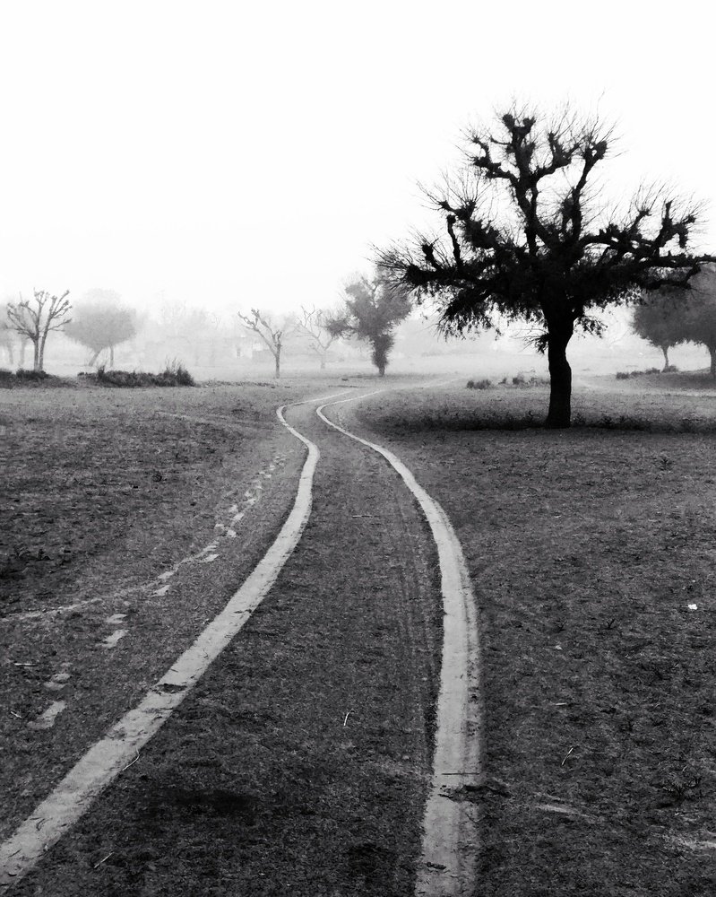 Фотография автора Rajesh Jamaal