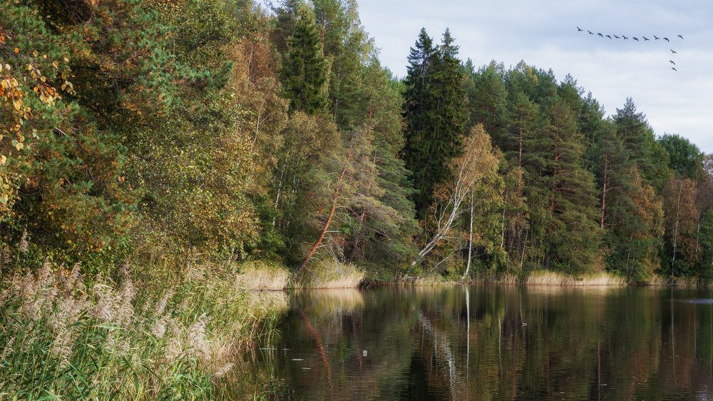 Photograph by Горшечников Сергей