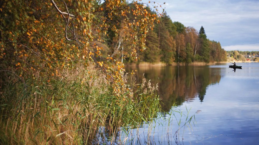 Photograph by Горшечников Сергей