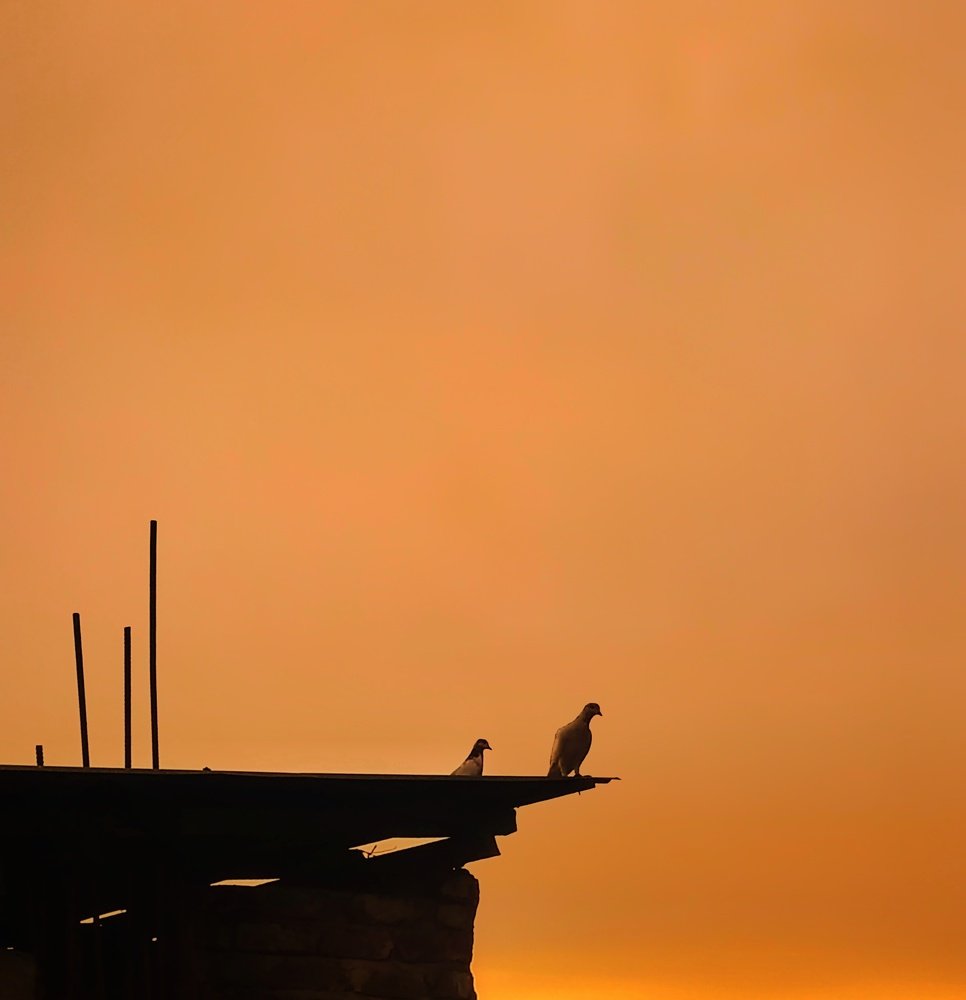 Photograph by Rafi Rahman