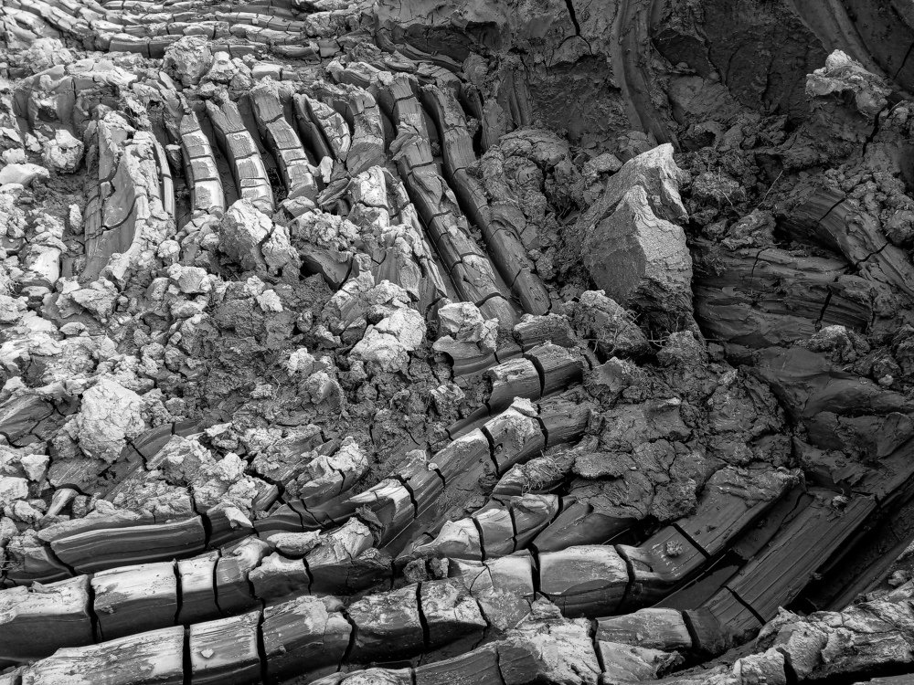 Photograph by Asamanj Maiti