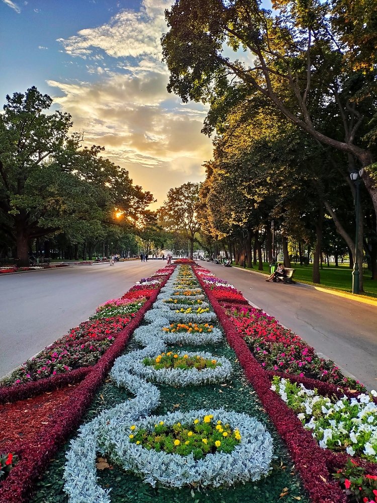 Photograph by Виталий Попов