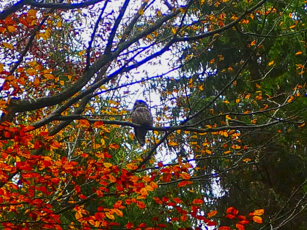 Photograph by Ondrej Pôbiš