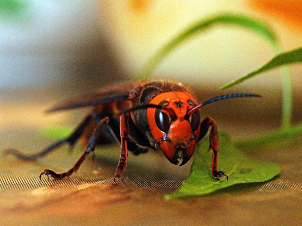 Photograph by Виктор Егоров