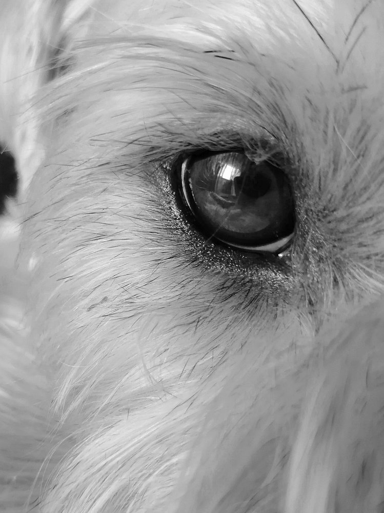 Photograph by Марина