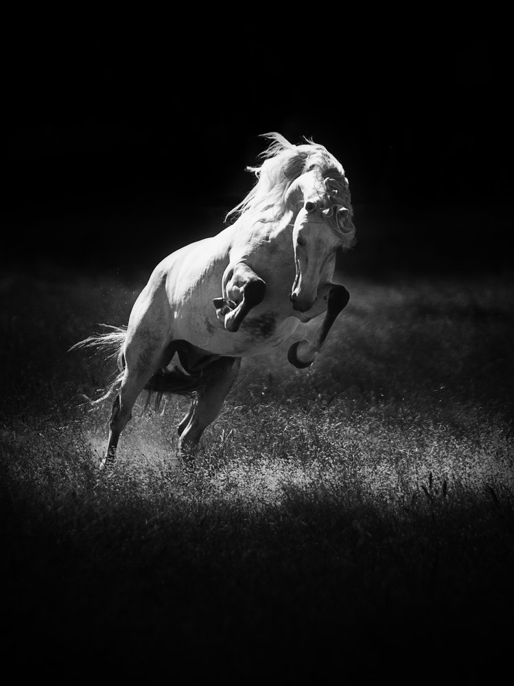 Photograph by Alexandre Marques