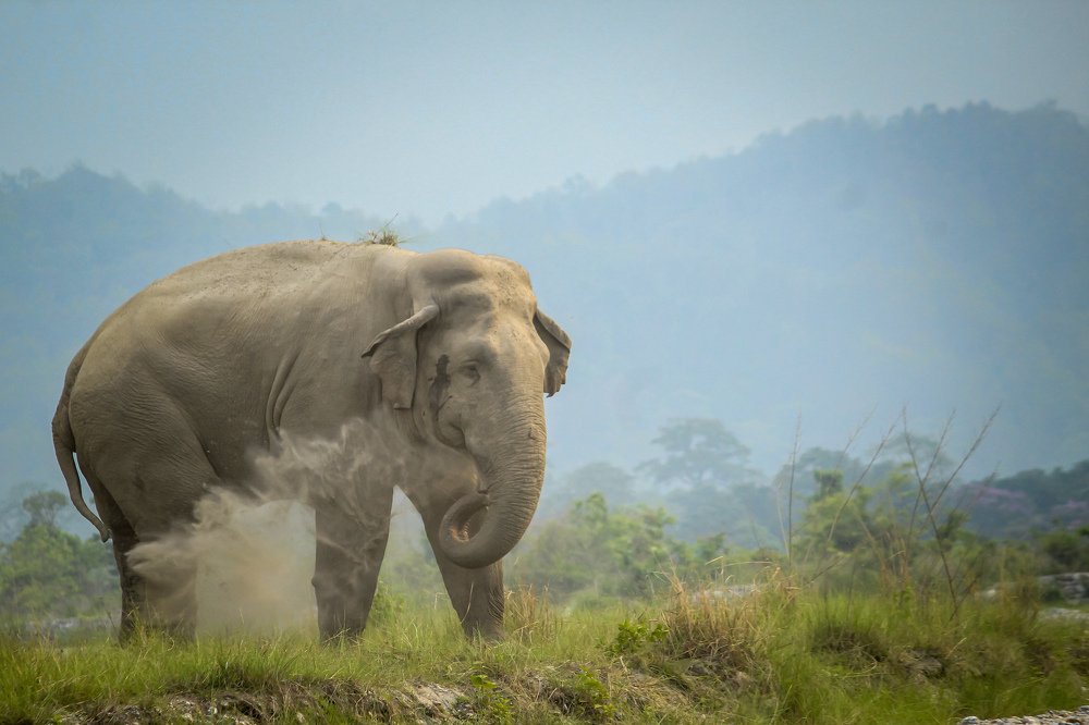 Photograph by Sunil Kumar Thakur