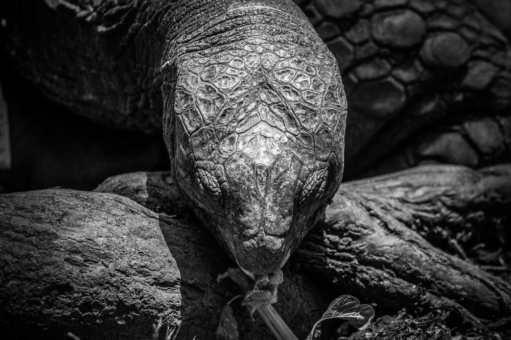 Photograph by Dmitry Skatov