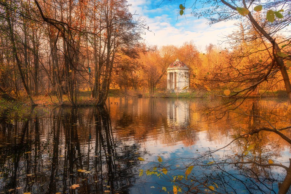 Photograph by Алена Устинович