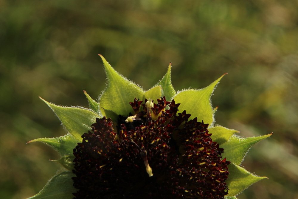 Photograph by Илья Беликов