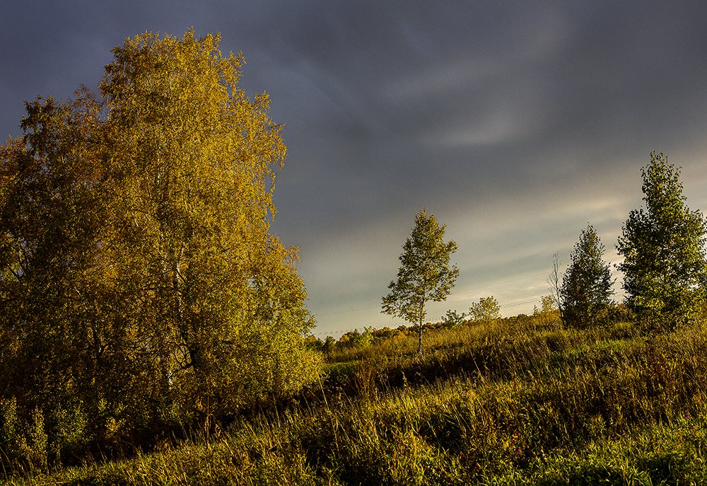 Вечерний свет