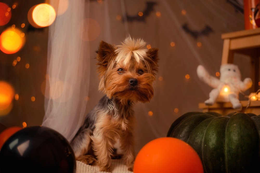 Photograph by Лукуть Ольга