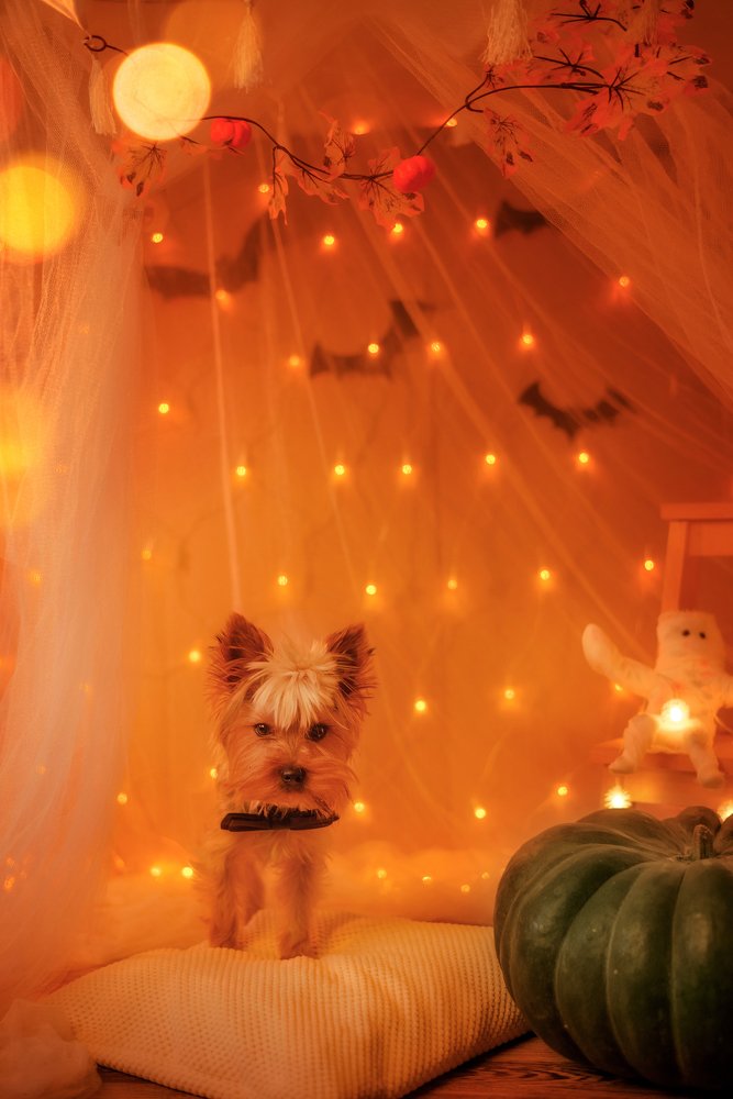 Photograph by Лукуть Ольга