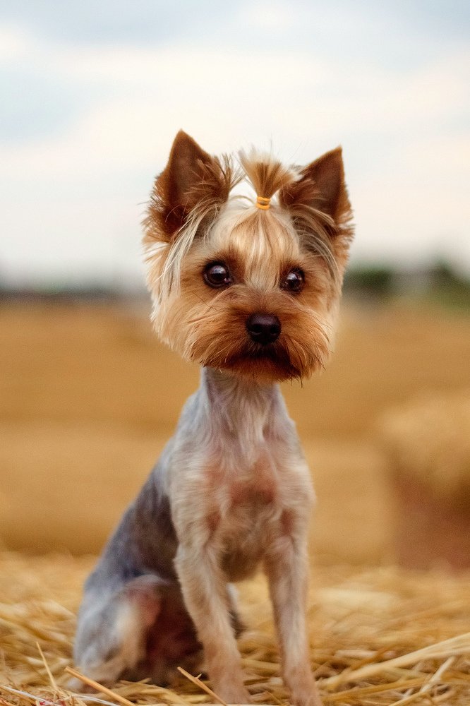 Photograph by Лукуть Ольга