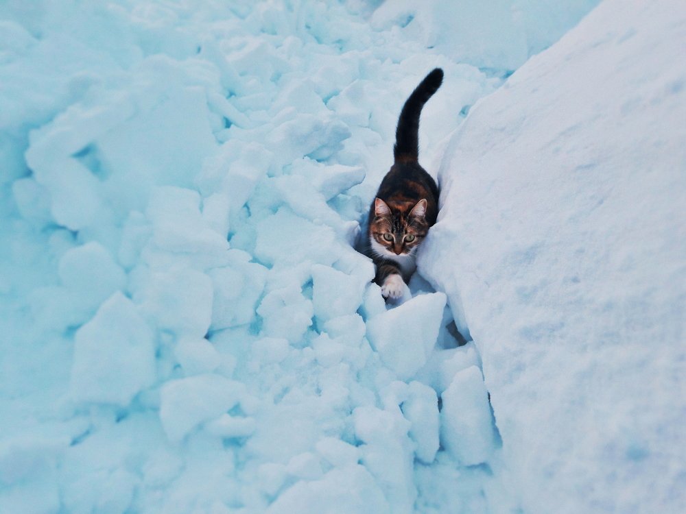 Photograph by Ернур Изимов