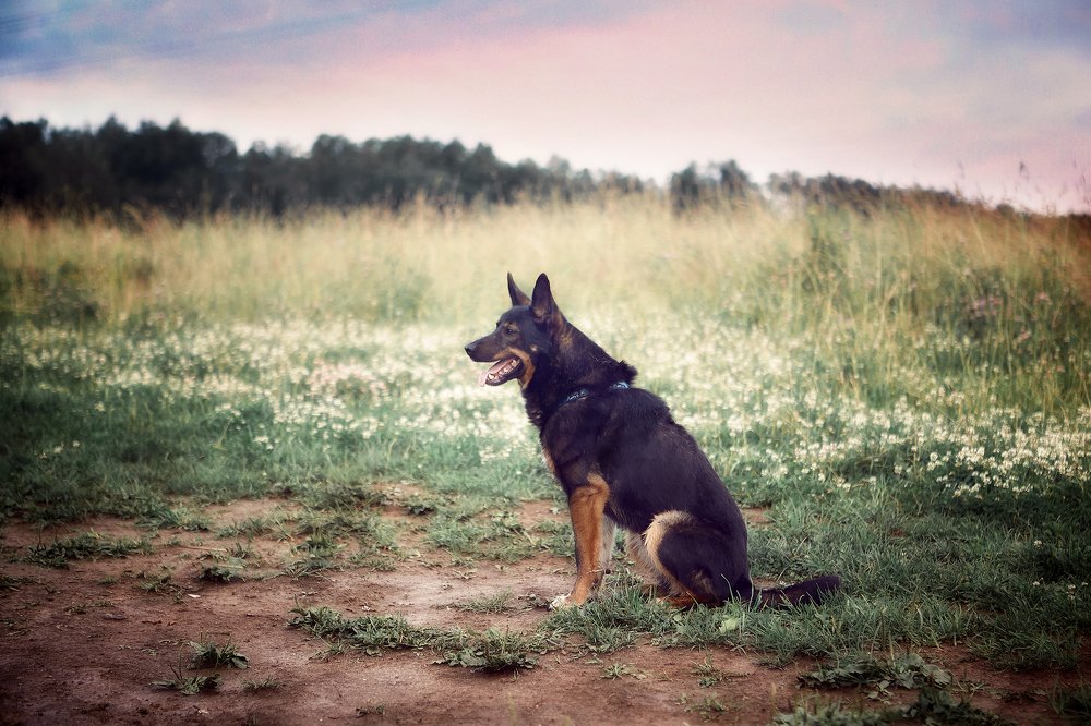 Photograph by НАТАЛЬЯ КРИВЕНКО