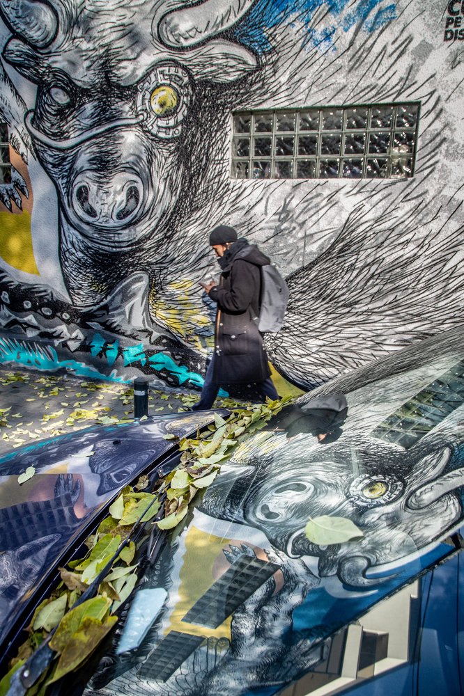 Photograph by Dzintra Zvagina