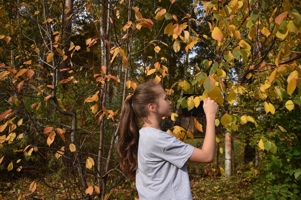 Photograph by Людмила Воропаева