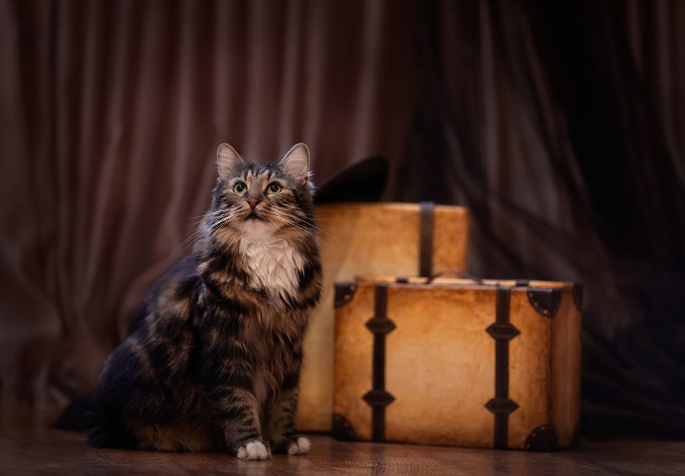 Photograph by Олеся Колитченко